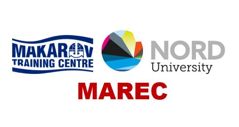 Морской учебно-тренажерный центр ГУМРФ имени адмирала С.О. Макарова принял участие в круглом столе международного исследовательского проекта MAREC